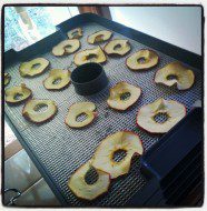 AppleChips