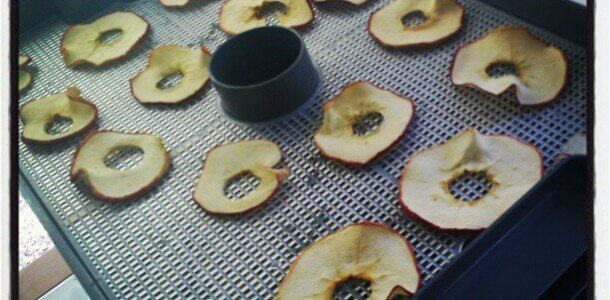 AppleChips
