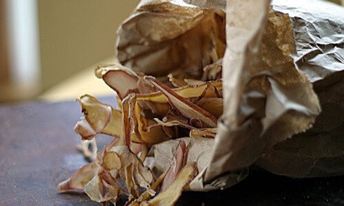 DehydratedChips