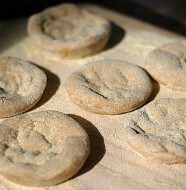 MiniPizzaCrusts