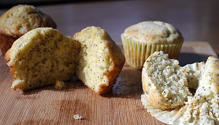 Muffin comparison