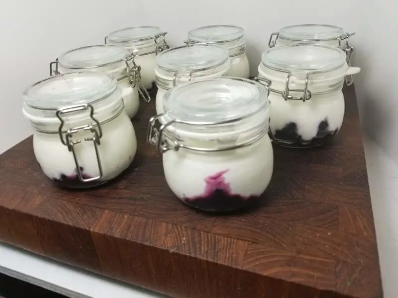 Homemade Yogurt Cups