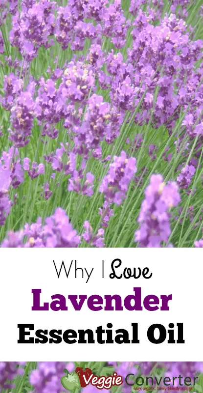Why I Love Lavender Essential Oil