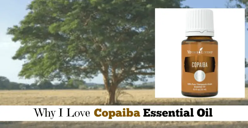 Why I Love Copiaba Essential Oil