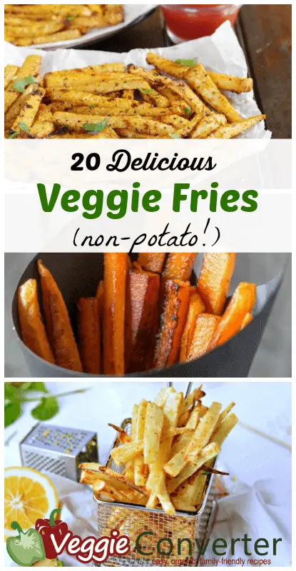 20 Delicious Veggie Fries Recipes (non-potato!)