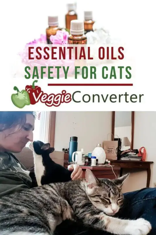 essential oils safety for cats