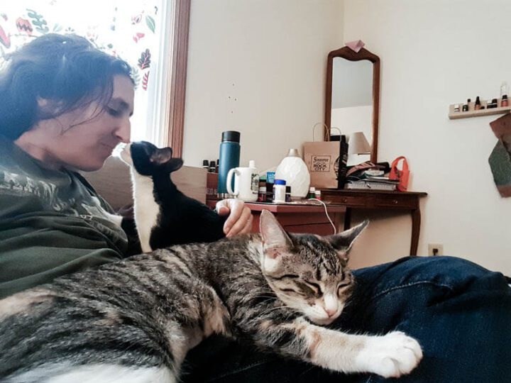 What Gives with Essential Oils Safety for Cats?