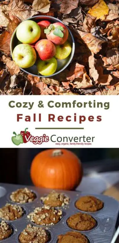 Healthy Fall Food Recipes