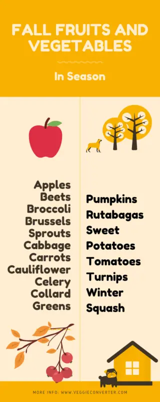 Fall Fruits and Vegetables