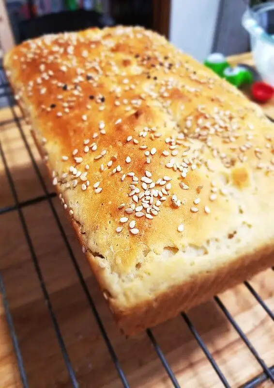 Sourdough Bagel Bread Loaf